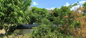 finca_lyue4e