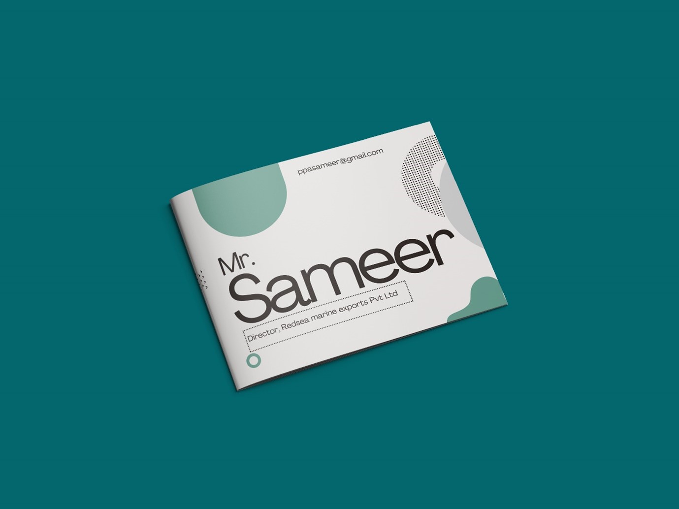 Mr.Sameer