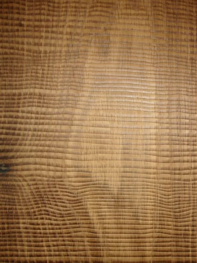 Gros plan sur le veinage naturel d'un parquet en bois noble aux nuances dorées.
