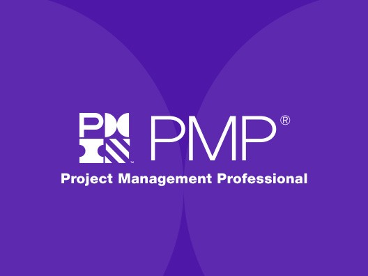 PMP Training in Nigeria