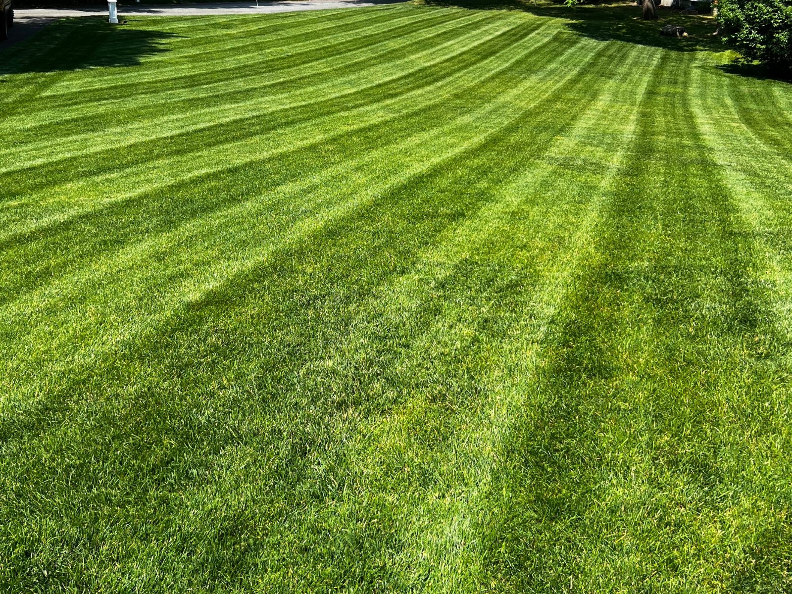 Ferguson Co. project photo