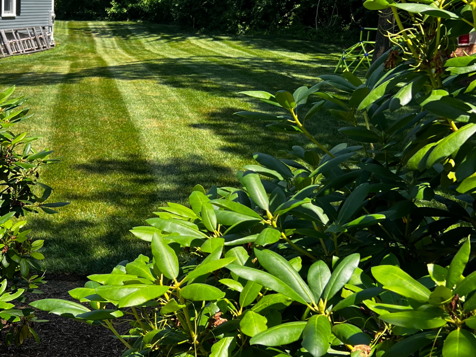 Ferguson Co. project photo
