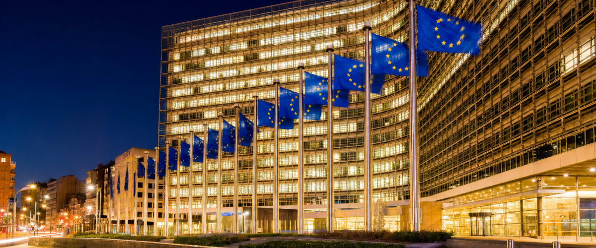 EU Opens CSDDD Guidelines Consultation: 14 Days Left
