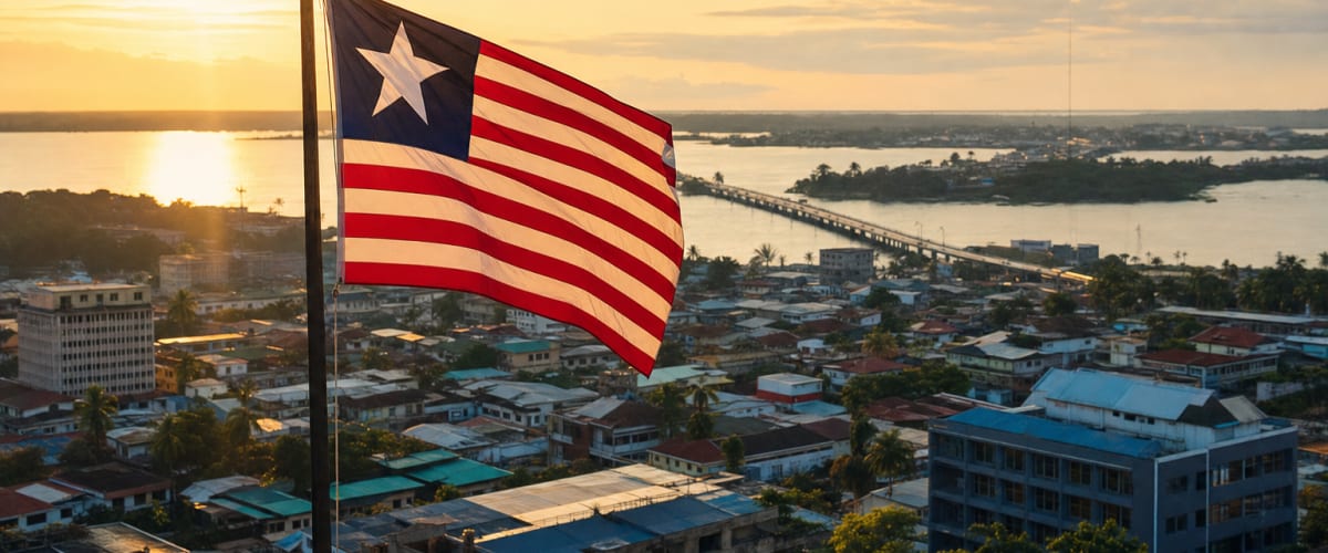 Liberia: National Carbon Market Policy Presented to President Boakai