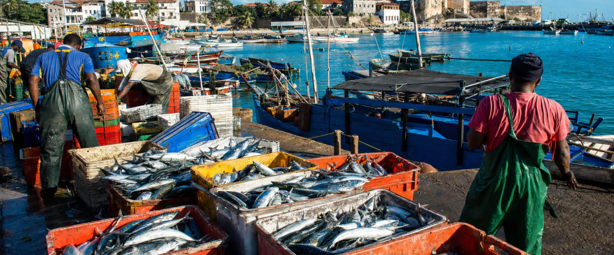 Kenya: Senate Calls for Memoranda on Fisheries Bill 2023