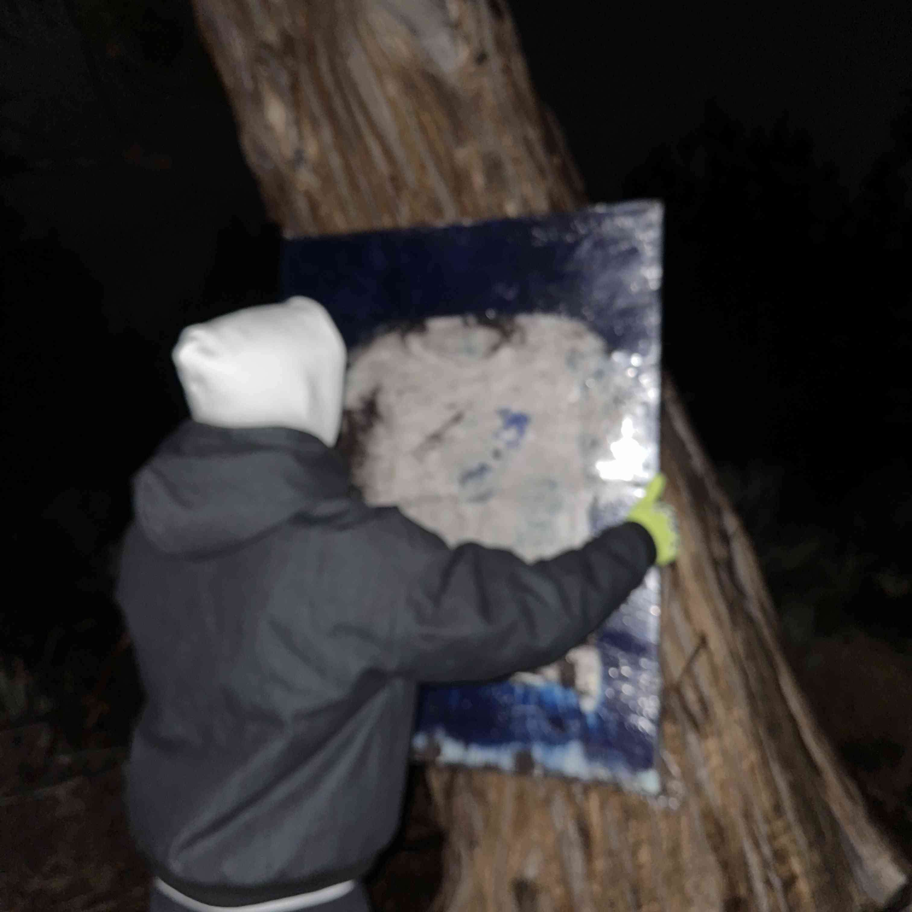 View of a person from the back hanging a painting on a tree outdoors