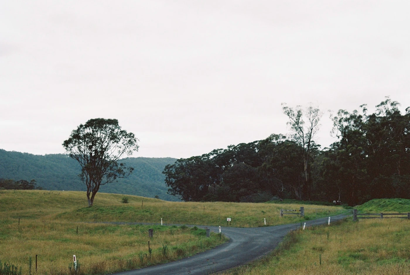 A country road in regional Victoria — long fixed-fare runs from Southbank