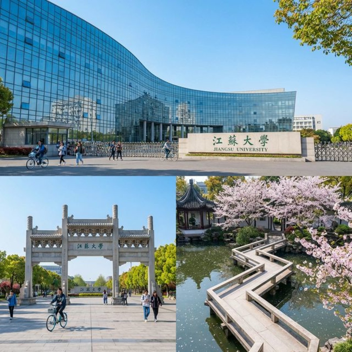 دانشگاه جیانگ‌سو