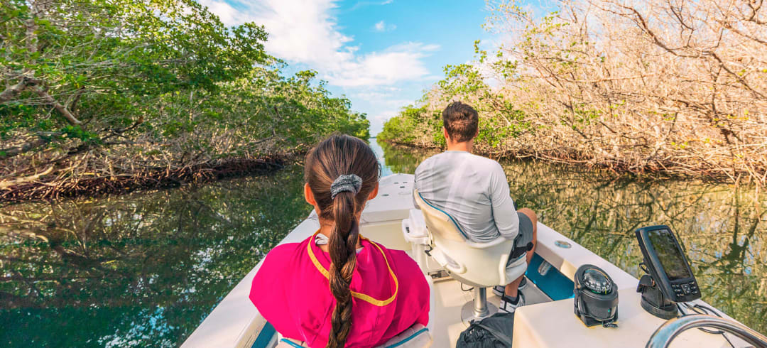 Passeio de Barco Everglades