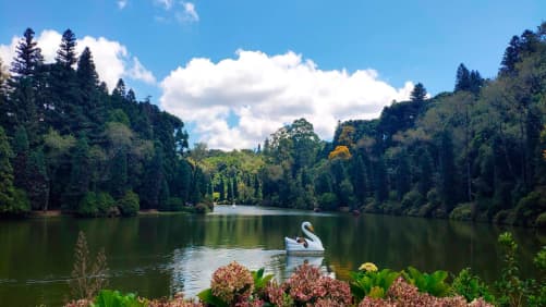 Lago Negro