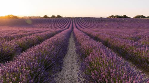 Provence