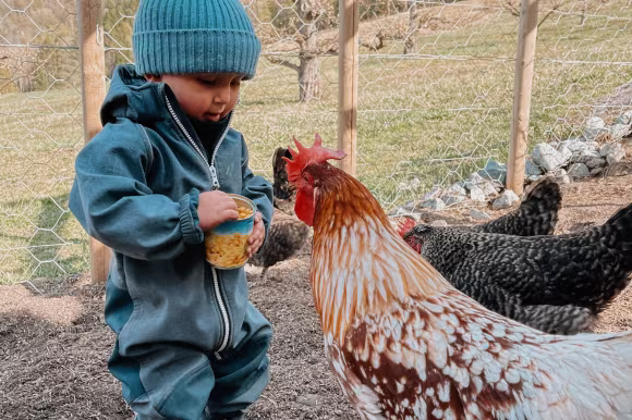 Haug Gard - Odelsgut gårdsbesøk
