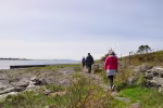 Barn og familier på en strand, de soler seg, leker og bader. Hvit sandstrand, blå himmel og grønn skog i bakgrunn.