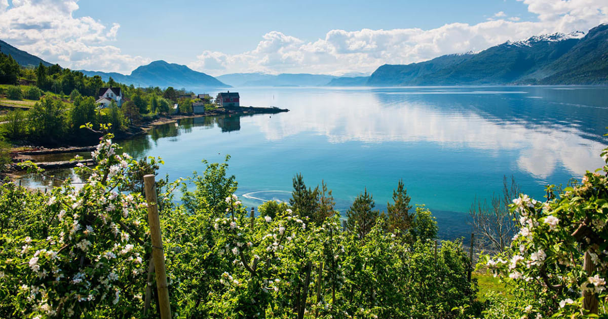 cider cruise hardanger