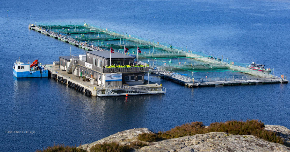 Engesund Fiskeoppdrett () Engesund Fiskeoppdrett