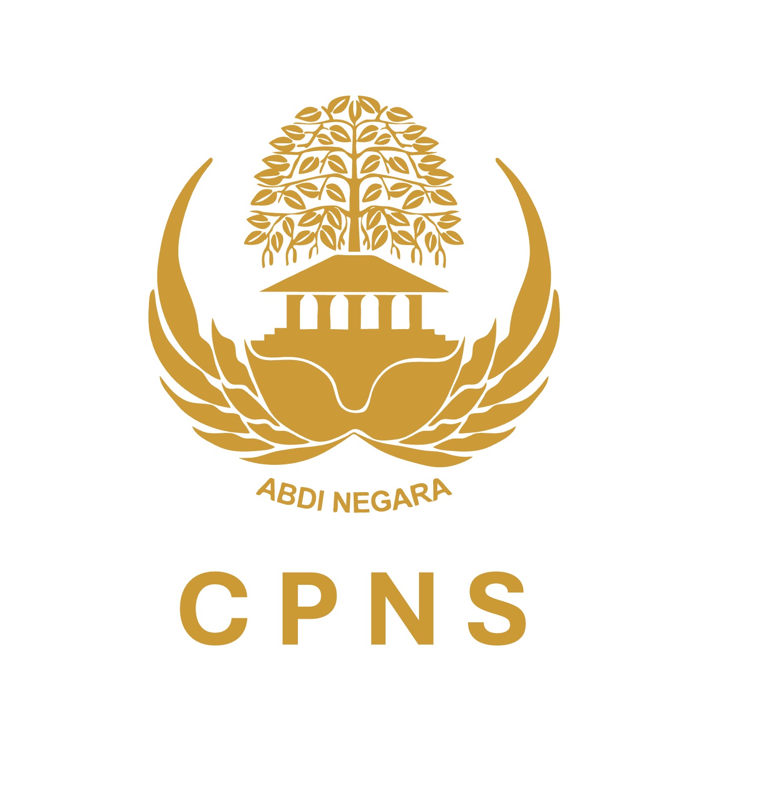 CPNS