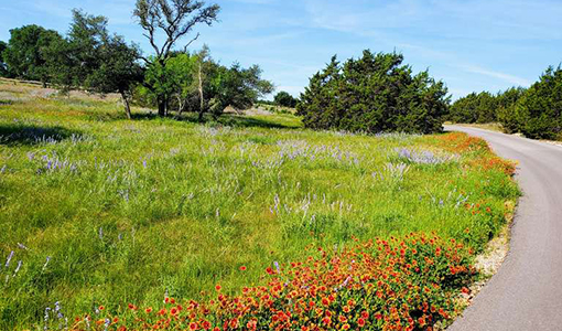 FLOWER BEDS ANNUALS AND PERENNIALS