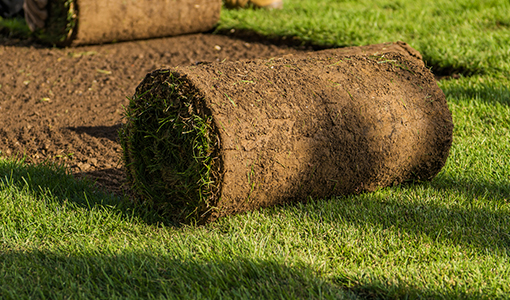 SOD INSTALLATION