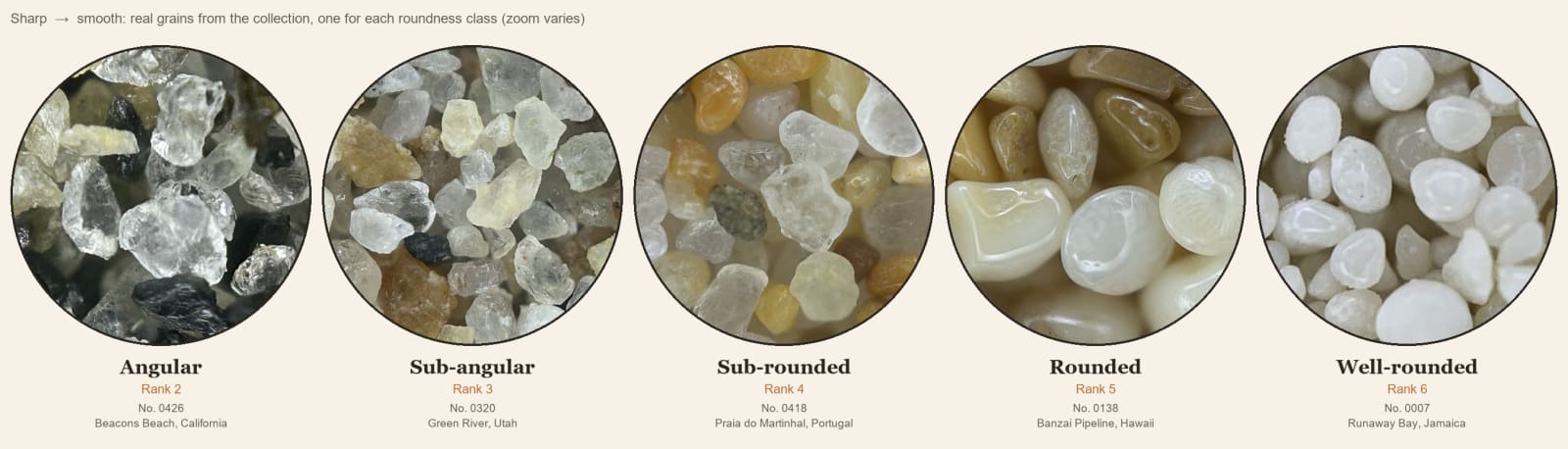 Five sand samples under the microscope, from angular to well-rounded