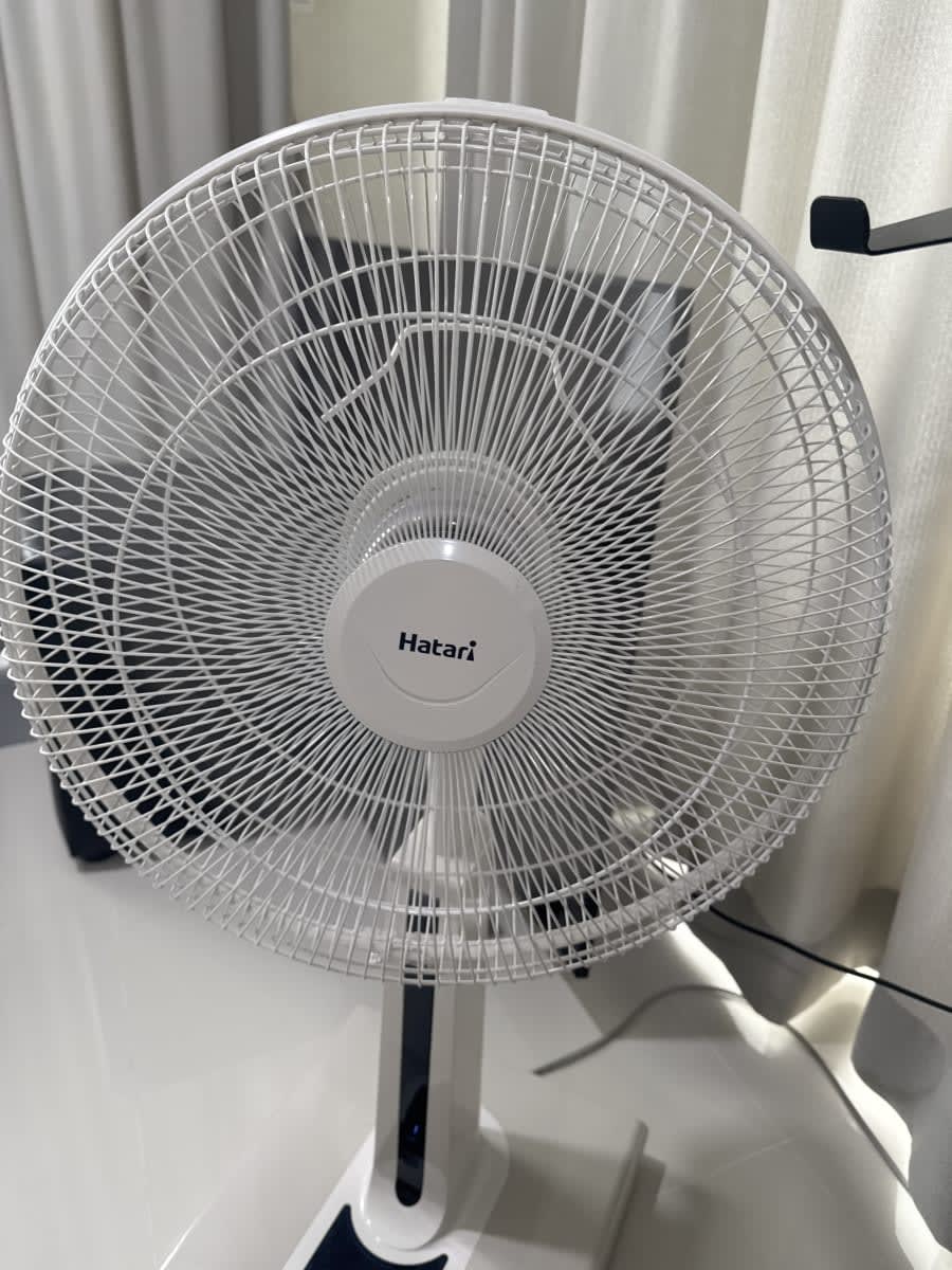 Hatari 55555
