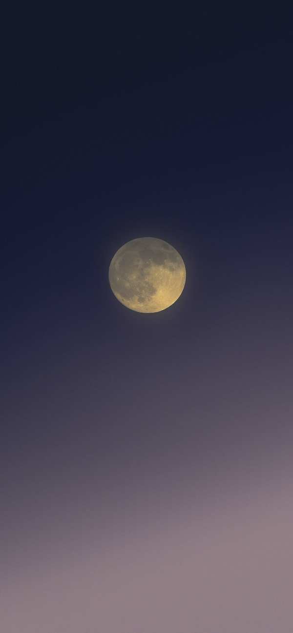 Golden Full Moon Twilight Sky — phone wallpaper