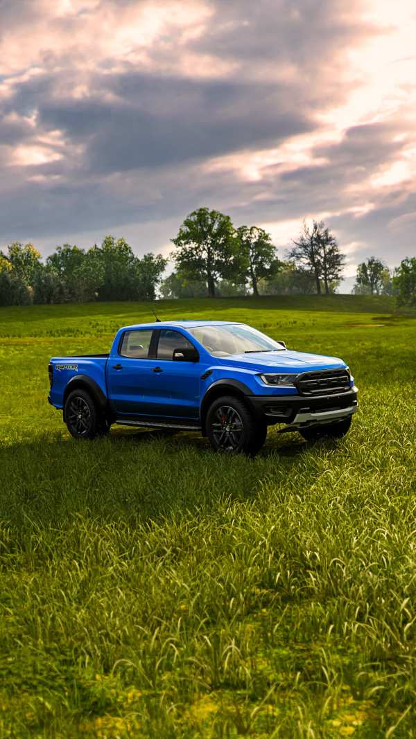 Blue Raptor in Grassy Field — phone wallpaper