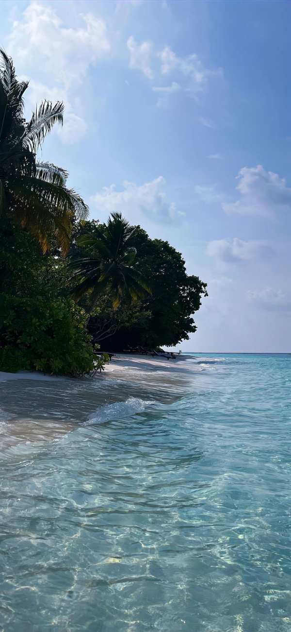 Tropical Island Beach Serenity — phone wallpaper