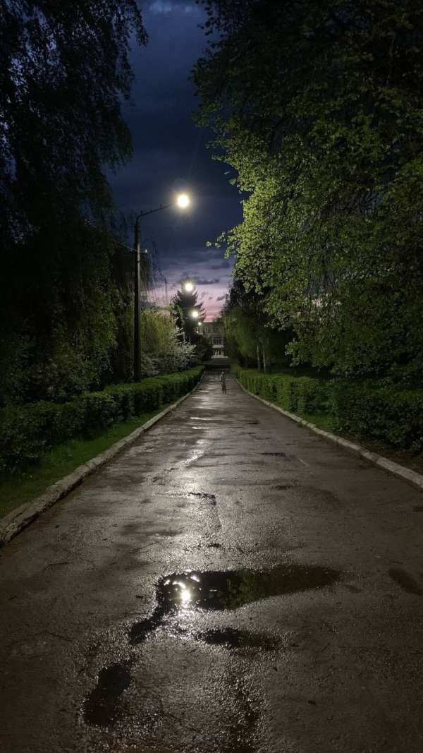 Quiet Night Path with Puddles — phone wallpaper