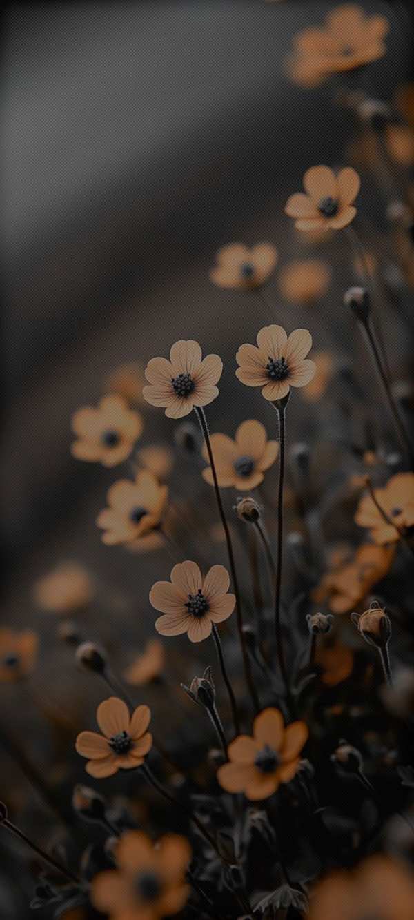 Delicate Orange Flowers Dark Background — phone wallpaper