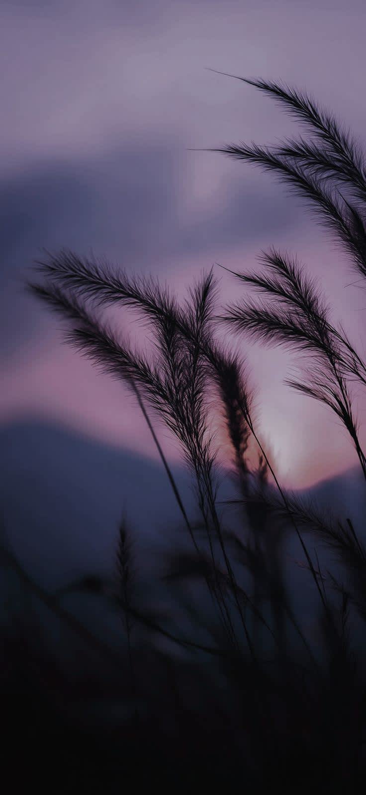 Silhouetted Grass Purple Sunset — phone wallpaper preview