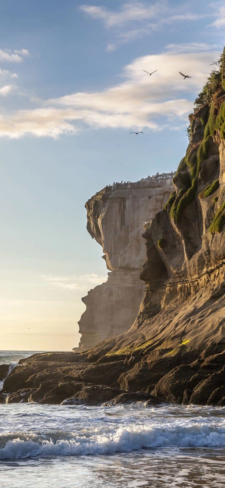 Golden Hour Coastal Cliffs and Soaring Birds — phone wallpaper preview