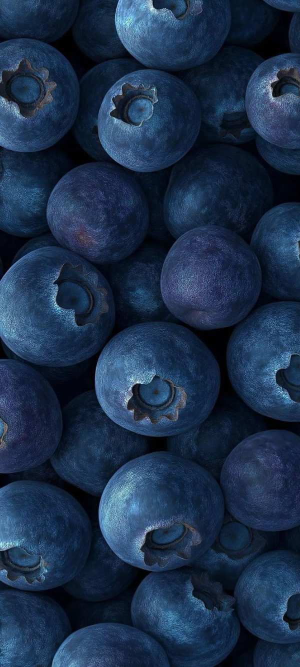 Vibrant Blueberry Cluster — phone wallpaper