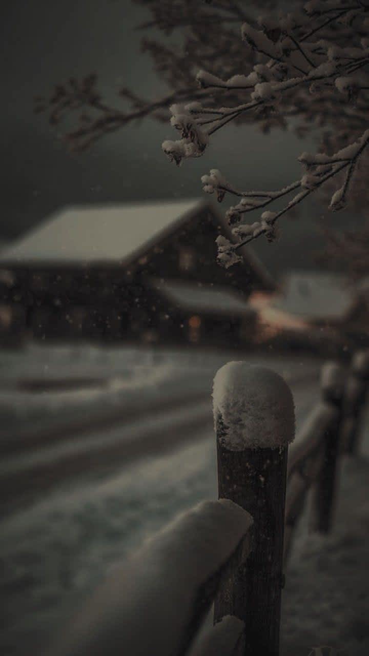 Serene Winter Night Cabin Snowfall — phone wallpaper preview