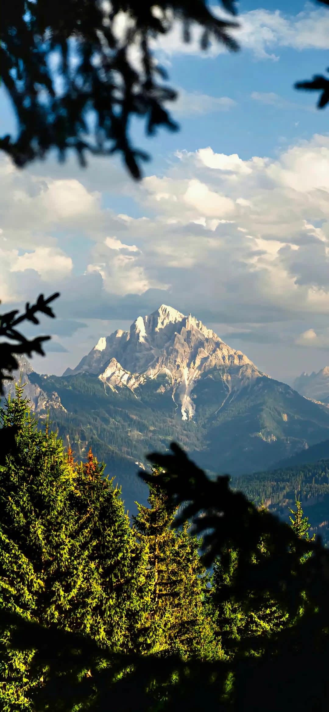 Majestic Mountain Peaks Framed by Pines — phone wallpaper preview