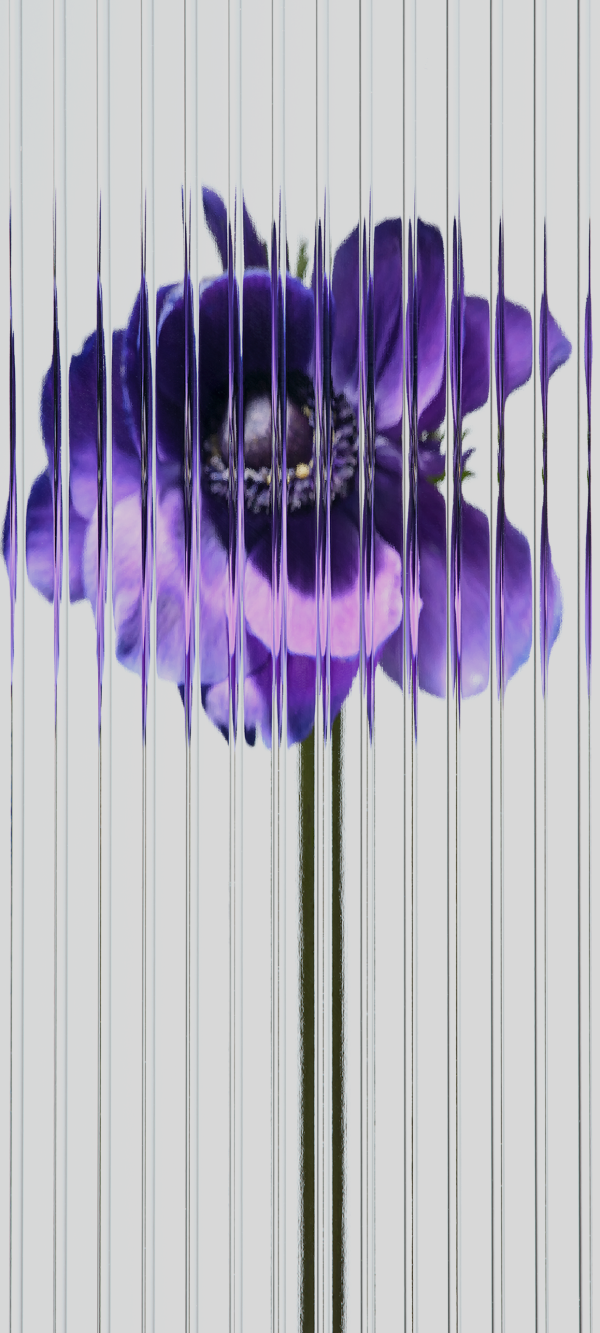 Fluted Glass Purple Flower — phone wallpaper
