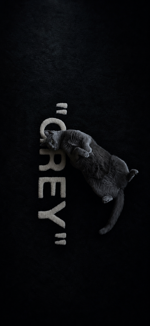 Playful Grey Cat on Dark Texture — phone wallpaper