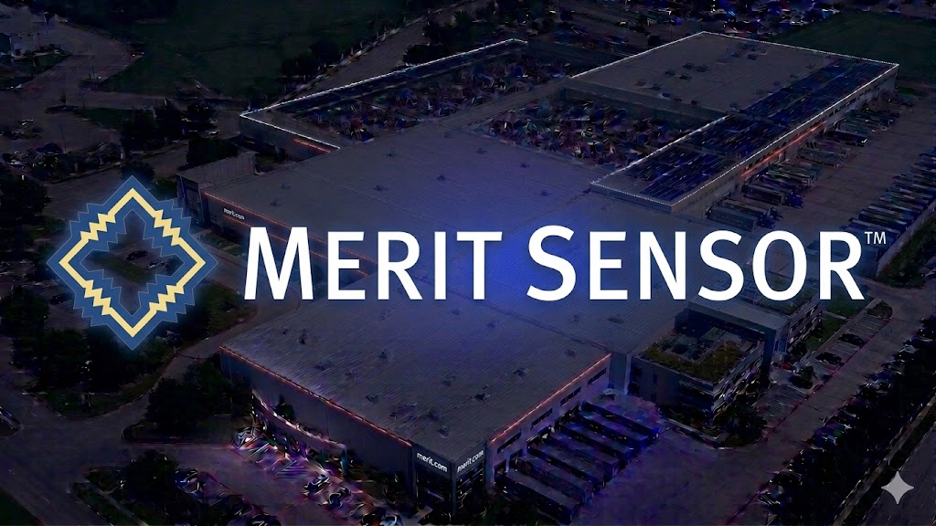 Merit Sensor Systems thumbnail