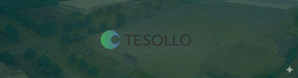 TESOLLO thumbnail