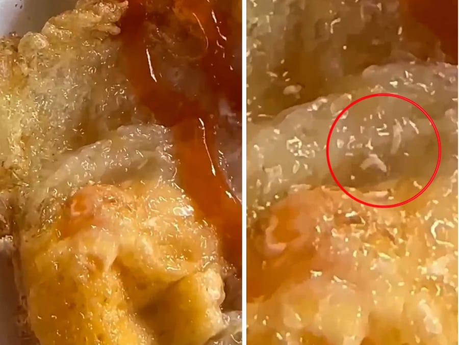 Nhiều con dòi (hay còn gọi là troi) được phát hiện bên trong hộp xôi trứng - Ảnh: cắt từ clip