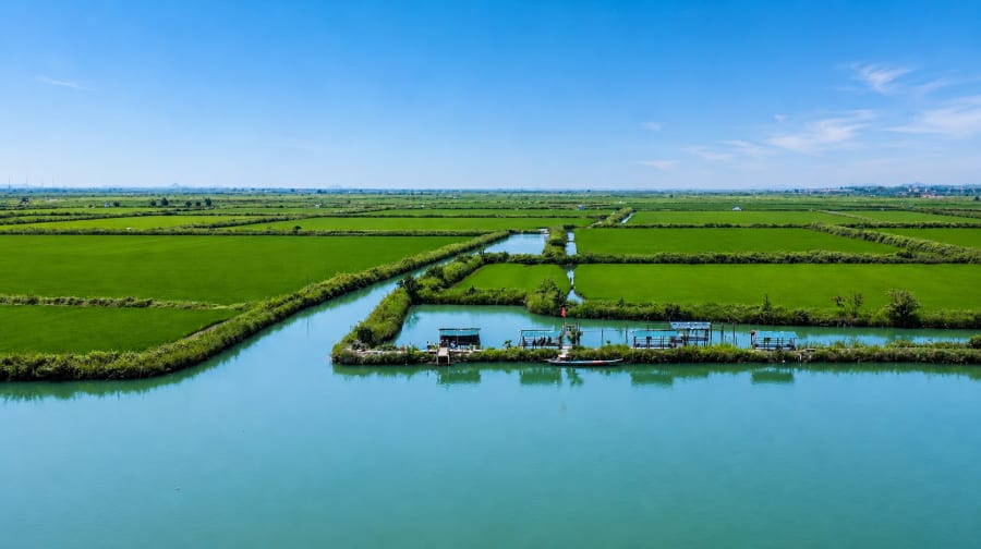 Phá Hạc Hải trở thành điểm du lịch sinh thái hấp dẫn với nhiều du khách - Ảnh: L.Chi