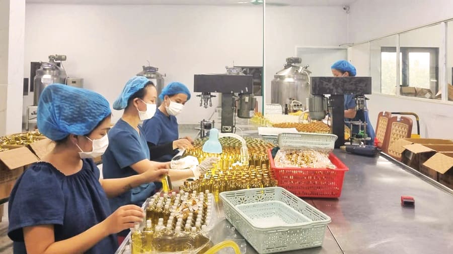 Lao động trong lĩnh vực chế biến sẽ là một trong những ngành kinh tế mũi nhọn được tỉnh quan tâm đào tạo - Ảnh: M.L
