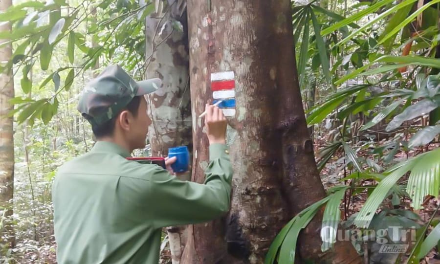 Hệ thống chỉ dẫn đường mòn của Cộng hòa Séc đang được triển khai tại Vườn Quốc gia Phong Nha-Kẻ Bàng - Ảnh: N.H