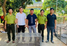 Phong Nha-Kẻ Bàng đón khỉ đuôi lợn, bảo tồn loài quý hiếm Bàn giao cá thể khỉ đuôi lợn cho Vườn Quốc gia Phong Nha-Kẻ Bàng