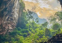 Vươn tầm thế giới từ khát vọng phát triển xanh