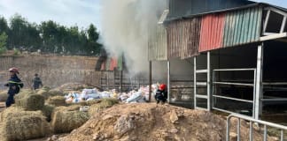 Kịp thời khống chế đám cháy trại chăn nuôi bò ở xã Nam Trạch 
