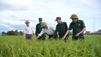 Khi 'thủ lĩnh' hợp tác xã là cựu chiến binh