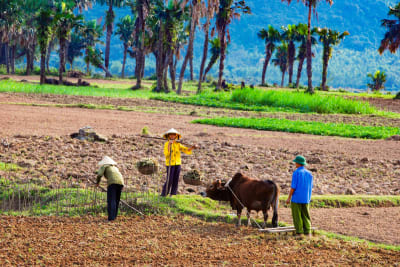 Quảng Bình muôn vẻ
