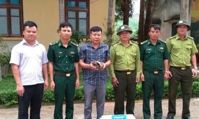 Tiếp nhận 2 cá thể Tê tê java để cứu hộ