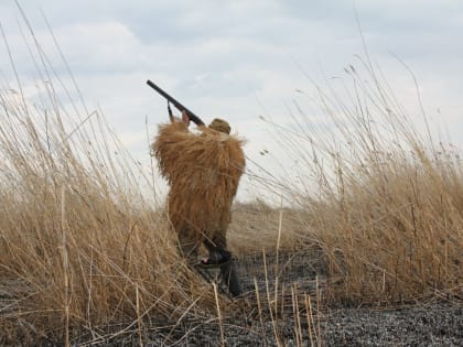 29 апреля в Красноярском крае будет открыт весенний сезон охоты