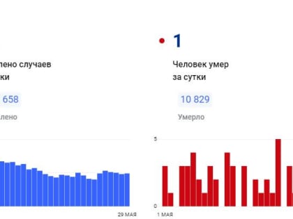 В Красноярском крае за сутки коронавирус обнаружен у 49 человек